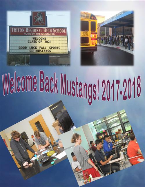 welcome back 